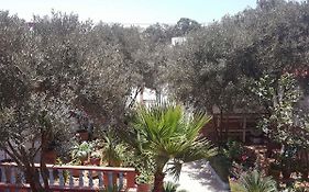 Dar ezzitouna